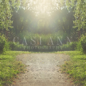 May include: A sunlit path through a verdant landscape. The image shows a dirt path leading into the distance, bordered by bright green grass and foliage. The text "CASIANN PHOTOGRAPHY" is visible in the center.
