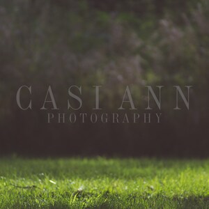 May include: A close-up of green grass with a blurred background of trees and the text "CASI ANN PHOTOGRAPHY" in the centre of the image.