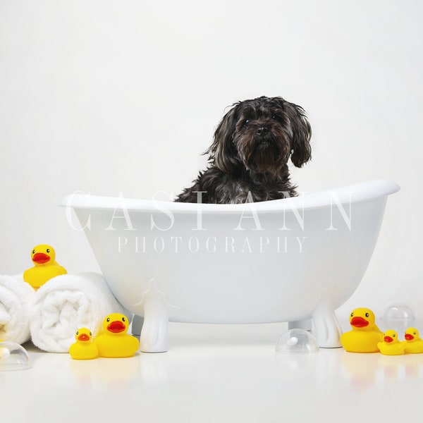 Classic Duck Bath Digital Photography Background Backdrop - Towels-Rubber Ducks-bubbles-bathtub-White-Yellow-Orange-Ducky-White Tub-Baby