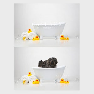 Classic Duck Bath Digital Photography Background Backdrop - Towels-Rubber Ducks-bubbles-bathtub-White-Yellow-Orange-Ducky-White Tub-Baby