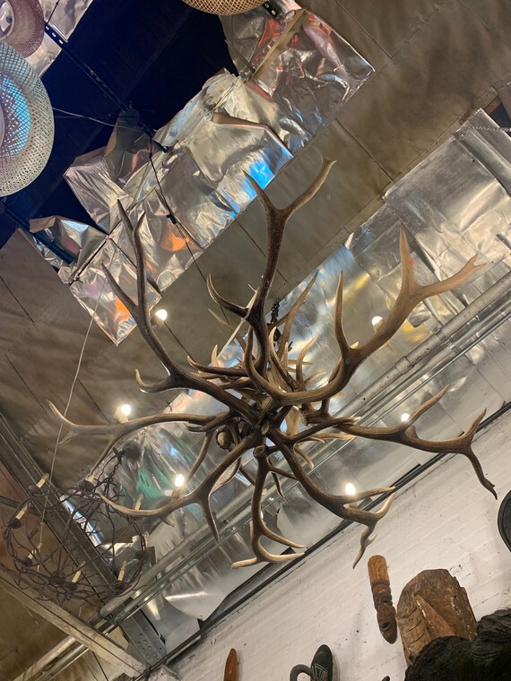 Restoration Hardware Aspen Antler Chandelier Ireland Restoration Hardware Aspen Antler, Restoration Hardware Aspen Antler Chandelier 40