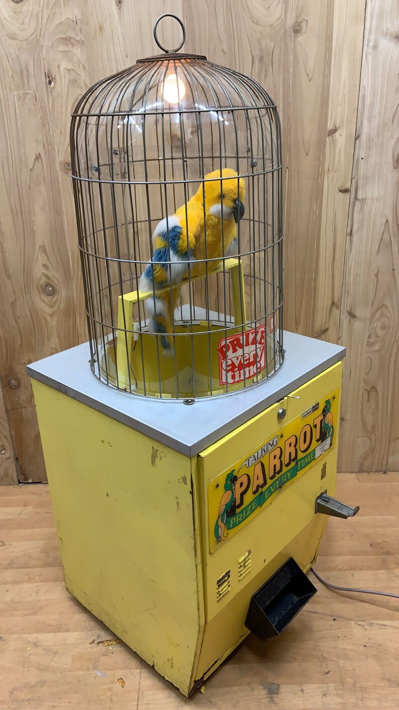 Retro Talking Vintage Talking Parrot Arcade Game - Etsy