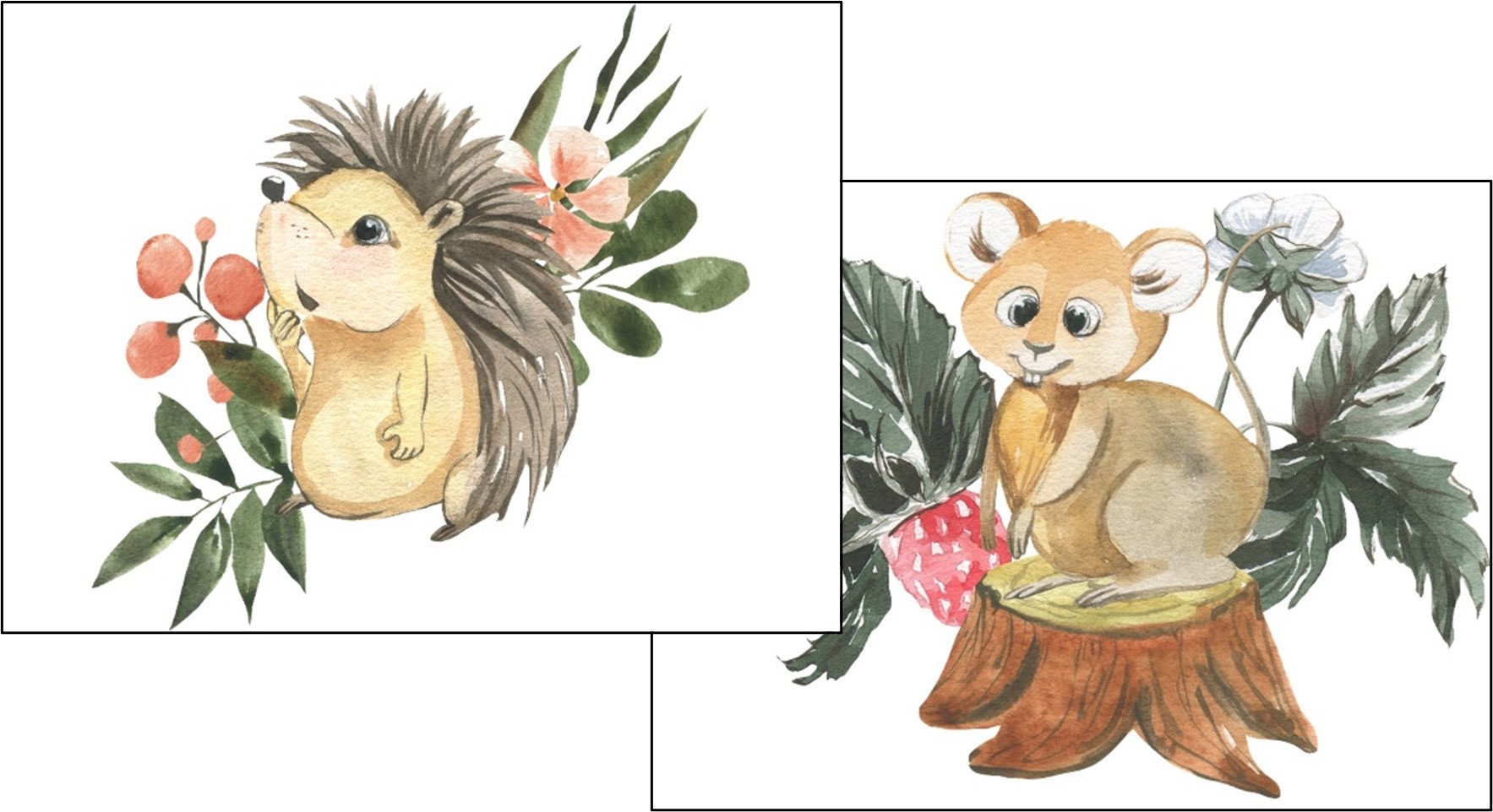 Woodland Animals Note Card Set 8 Cards 8 Designs Etsy