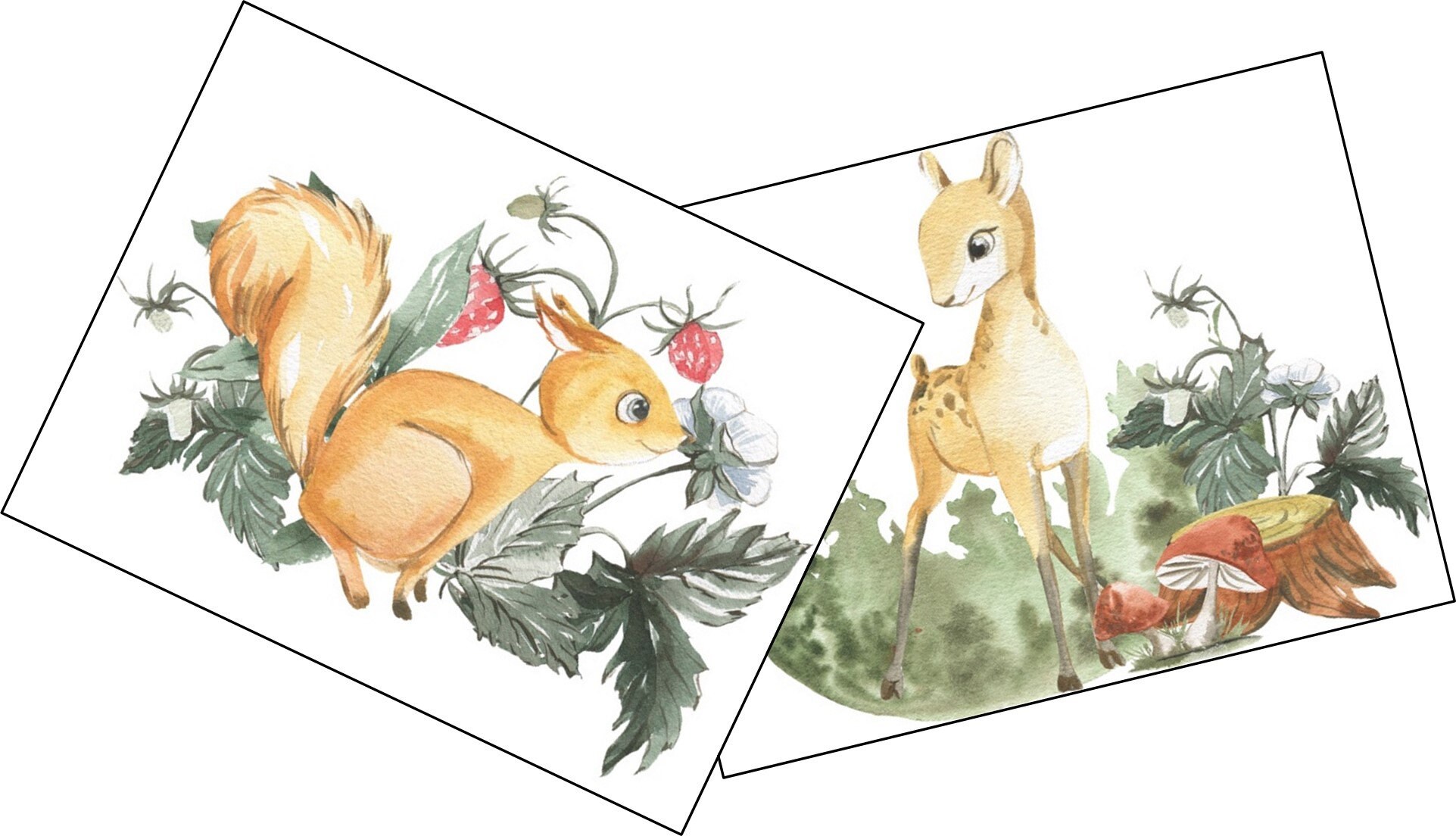 Woodland Animals Note Card Set 8 Cards 8 Designs Etsy