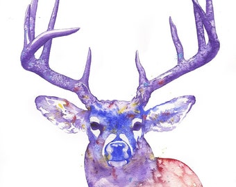Rainbow Deer - Large Print - 13.3" x 20" (33.78 x 50.8 cm)