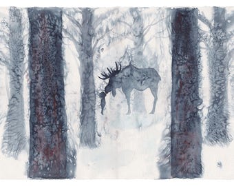 Moose Kiss - Large Print - 13.3" x 20" (33.78 x 50.8 cm)