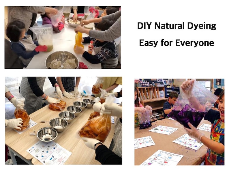 May include: A group of people, including children, are engaged in a DIY natural dyeing project. The image shows various stages, from mixing ingredients to handling dyed materials. The text "DIY Natural Dyeing Easy for Everyone" is displayed.