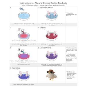 以下が含まれることがあります： Instruction for Natural Dyeing Textile Productsと題された天然繊維染色用の説明図。ボウル、染料パッケージ、帽子とサングラスを身につけた鳥のイラストが描かれた7つの番号付きステップで構成されています。