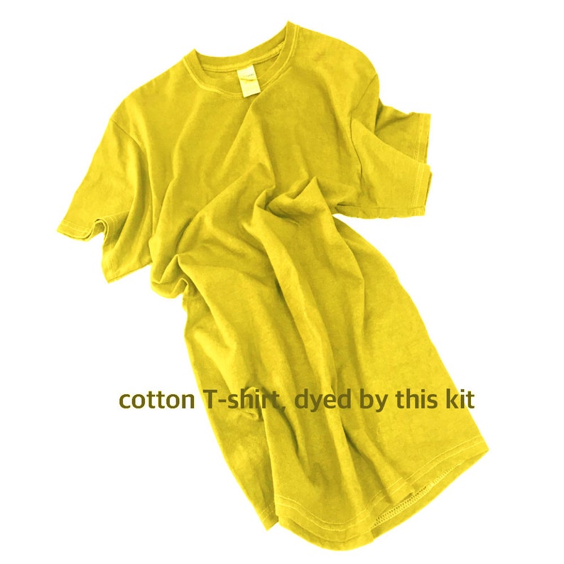 Sophora Flower Dye Kit for 0.45lb Fabric Pineapple Yellow - Etsy