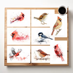 8er-Set Spring Kunstdruck Vögel karten | Aquarell  Watercolor Kardinal Vögel | Karten set Fhrüling | A6 Postkarte | Easter Decorations