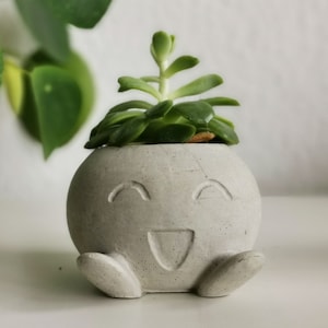 Puede incluir: Una pequeña maceta redonda de hormigón gris con un diseño de cara sonriente, que contiene una planta suculenta verde. La maceta tiene pequeños pies y una superficie texturizada. La suculenta tiene hojas verdes.