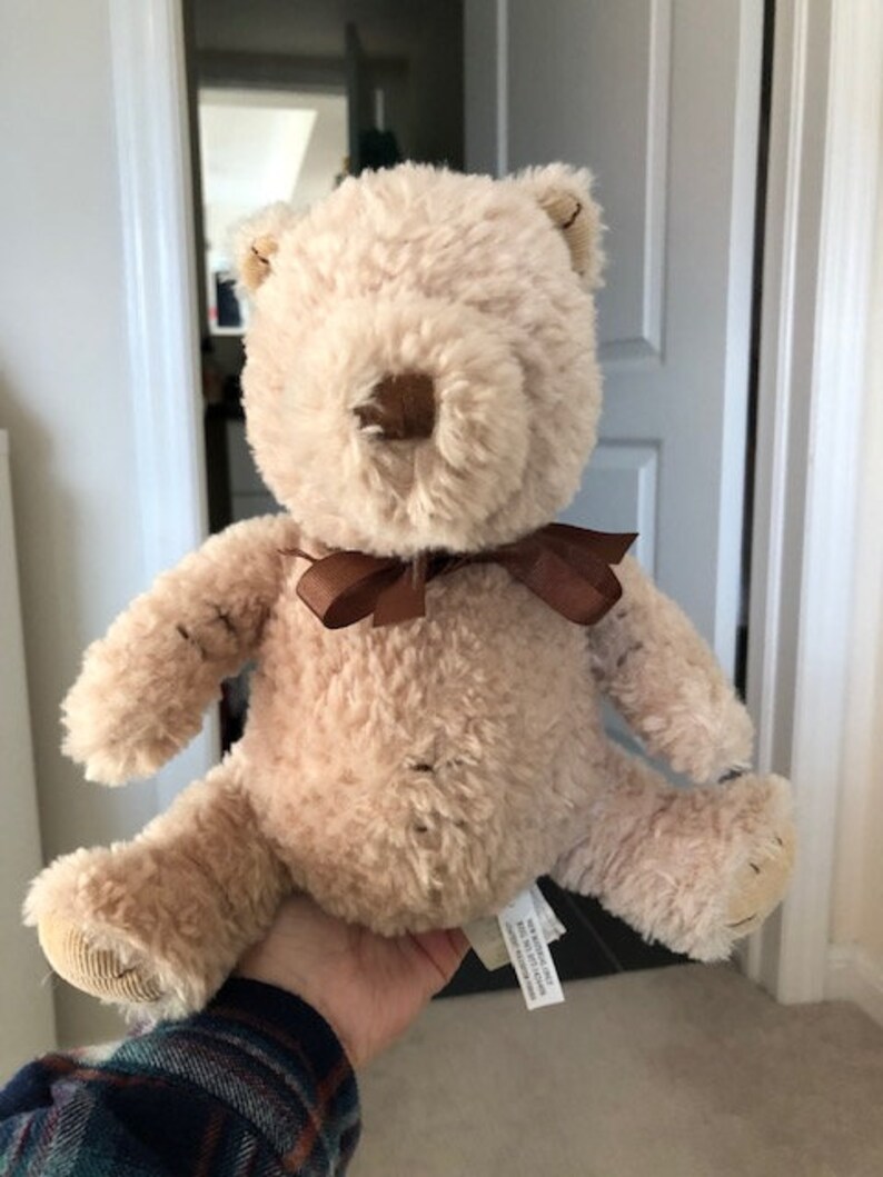 disney winnie the pooh teddy bear