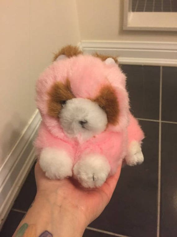 pink raccoon stuffed animal