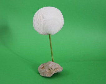 Muschelskulptur 17 cm hoch, Muschel auf Stein, Muscheldeko, Muschelkunst, Muschelobjekt mit Naturstein, Objektkunst aus Naturmaterial