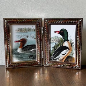 May include: A hinged double picture frame with a metallic, textured bronze finish. The left frame displays a print of a merganser duck swimming in water, while the right frame features a print of a merganser duck standing near grassy reeds.