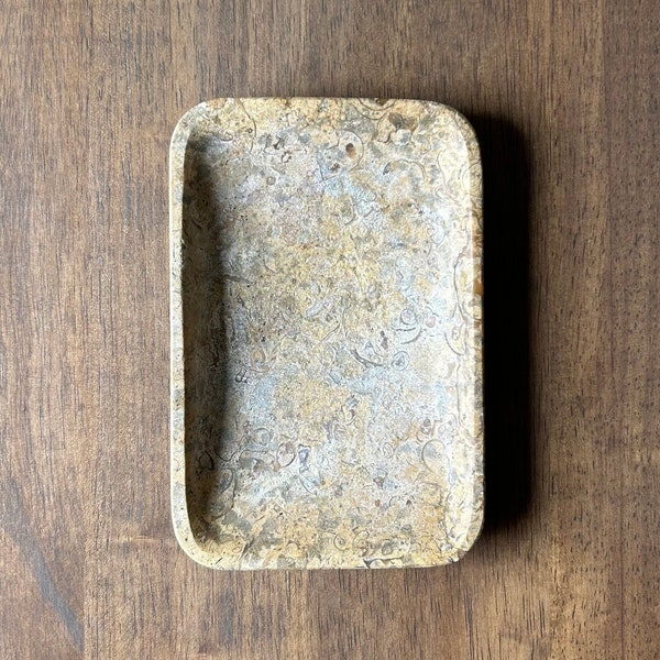 Fossilized Seafloor Trinket Soap Dish