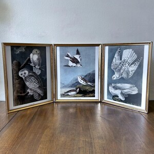 May include: A triptych of three gold-toned metal frames containing black and white vintage-style bird illustrations. The left frame shows two owls on a branch, the center frame depicts birds in a landscape, and the right frame features two hawks.