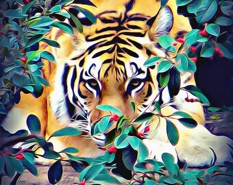 Bengal Tiger - Original Photography - Tiger Print - Tiger Art