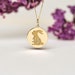 14k Solid Gold Rabbit Necklace • Personalized Animal Pendant • Dainty ...
