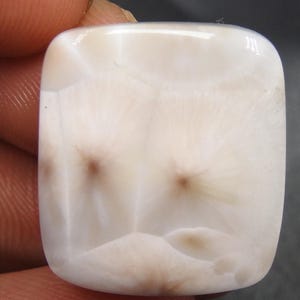 Cabochão de Larimar Thomsonite Rosa Natural, Pedra Preciosa Solta, Cabochão de Larimar Rosa, Pedra Preciosa Extravagante, 21X19X7MM Aprox/C-9