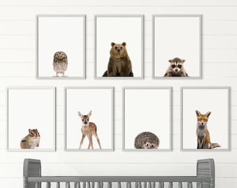 Printable Woodland Nursery Forest Animals Animal Nursery Decor Pictures, Woodland Nursery Decor, Boy Room Art