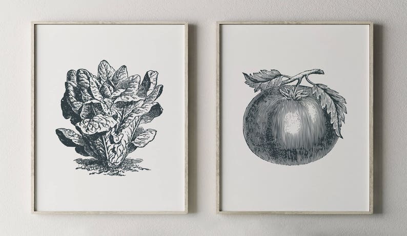 May include: Two black and white vintage illustrations of vegetables. The first image shows a bunch of leafy greens. The second image shows a tomato on a vine.