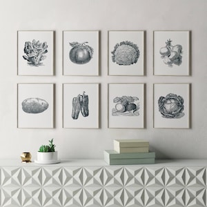May include: A set of nine black and white illustrations of various vegetables and fruits, framed in white frames and hung on a white wall. The illustrations include a head of lettuce, a tomato, a head of cauliflower, a bunch of onions, a potato, two bell peppers, a turnip and radish, and a head of cabbage.