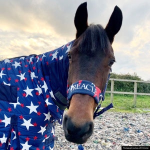 Personalised Stars Fleece Headcollar