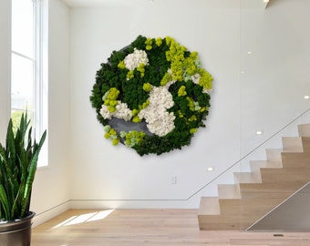 Framed Moss Wall Art: Original Botanical Green Wall Decor