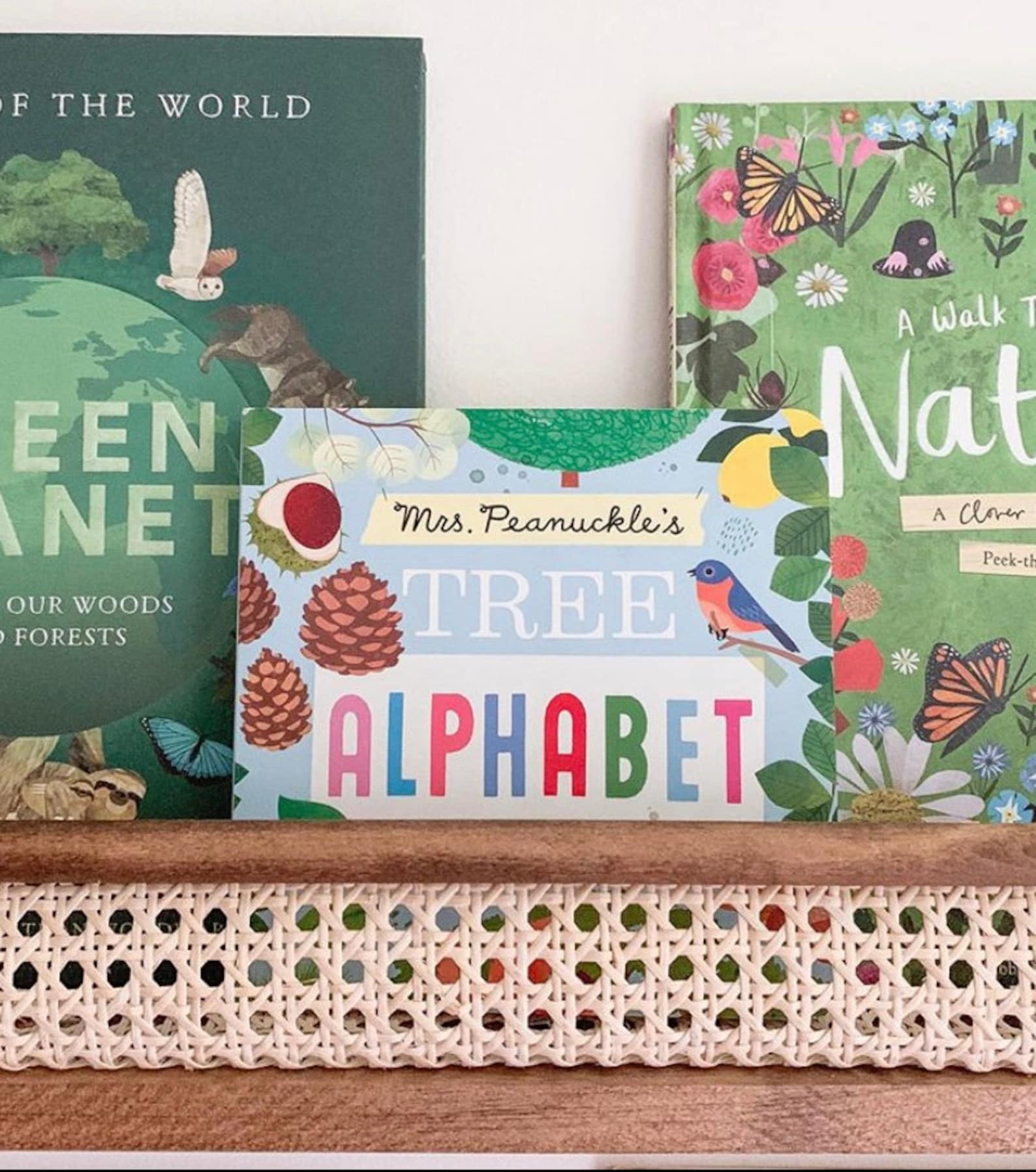 Rattan Shelf Nursery Bookshelf Nursery Shelves Nursery Etsy