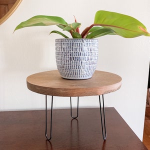 Indoor plant stand planter modern display plant nursery plant lover gift plant office plant table modern plant display wood plant stand