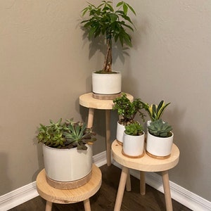 Plant Stool Stand Three Leg Stool Indoor Plant Stand Plant Riser Wood Stool Plant Stool Plant Stand Wood Plant Stand Indoor Accent Stool image 7