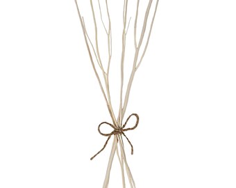 decorative twigs uk