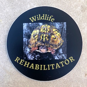 Eastern BoxTurtle Wildlife Rehabilitator 3” x 3” Vinyl Sticker