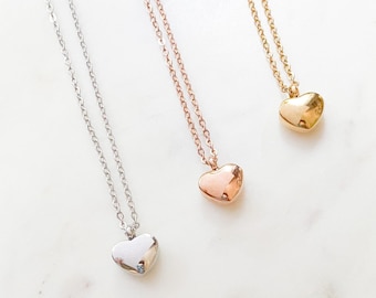 Personalized Heart Urn Necklace | Pet Memorial Keepsake | Ashes Locket