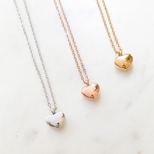 Personalized Heart Urn Necklace | Pet Memorial Keepsake | Ashes Locket