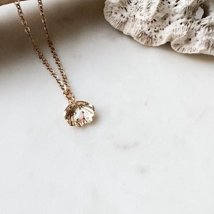 Op de afbeelding: Een gouden ketting met een schelp hanger met een kleine opaal edelsteen. De ketting ligt op een wit oppervlak met een stuk koraal.