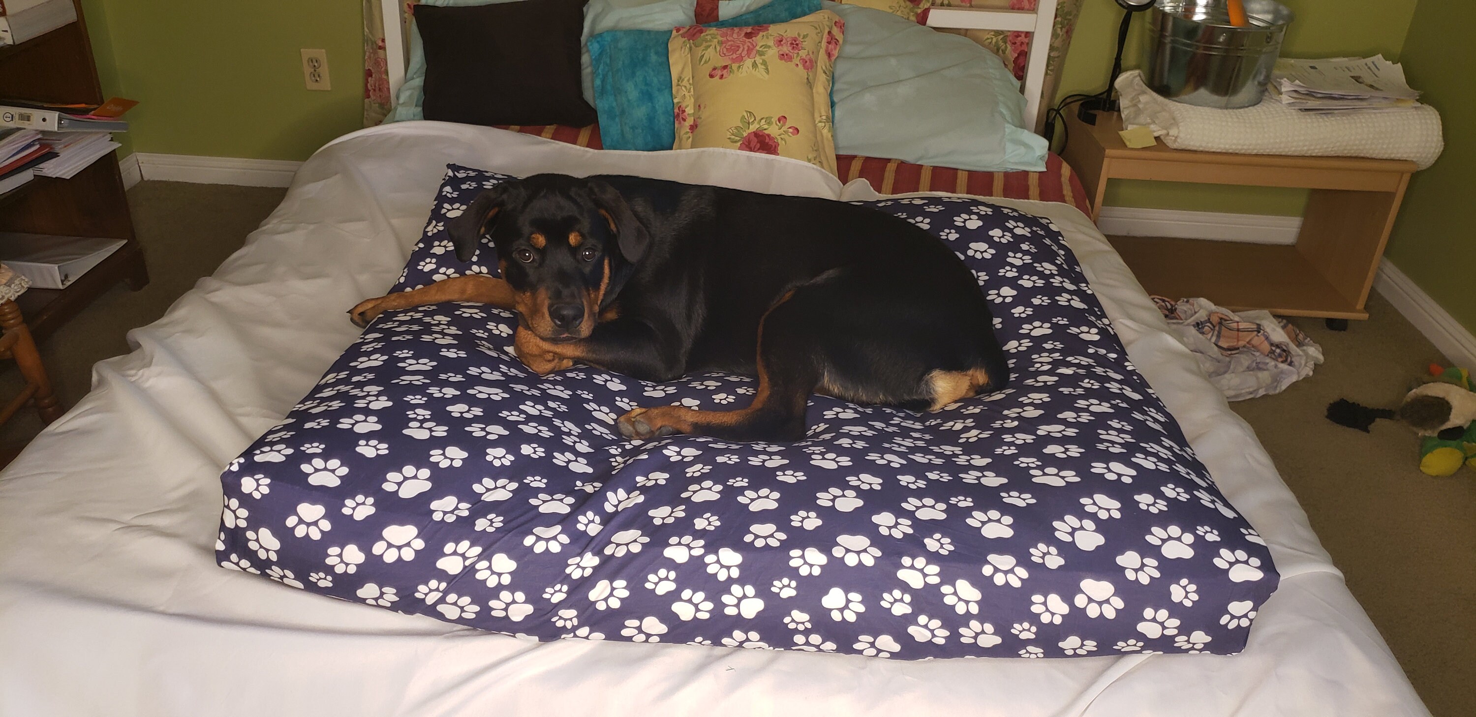 Square Dog Bed Cover Large Fitted Sheet Navy Washable Etsy