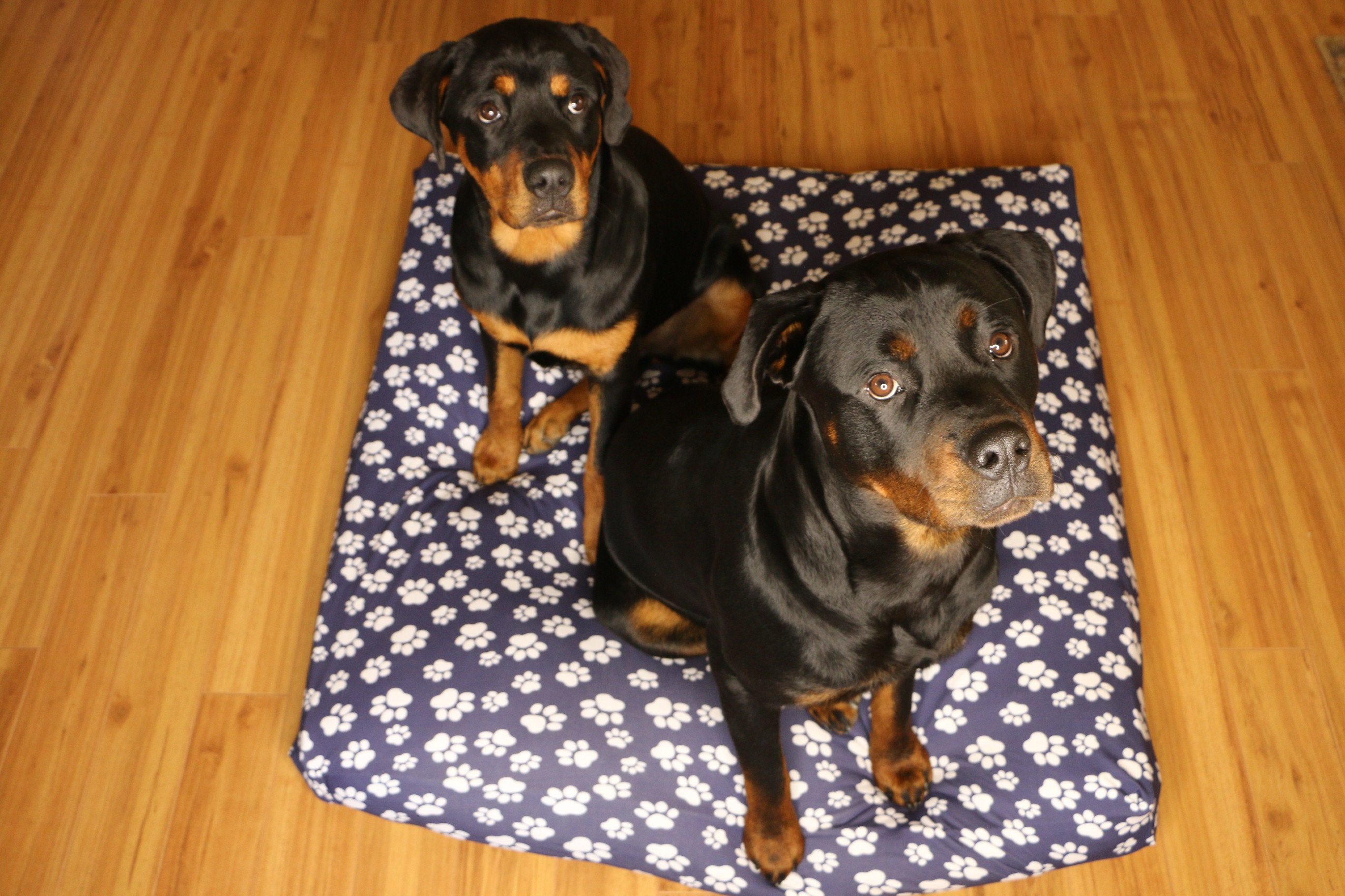 Square Dog Bed Cover Large Fitted Sheet Navy Washable Etsy UK