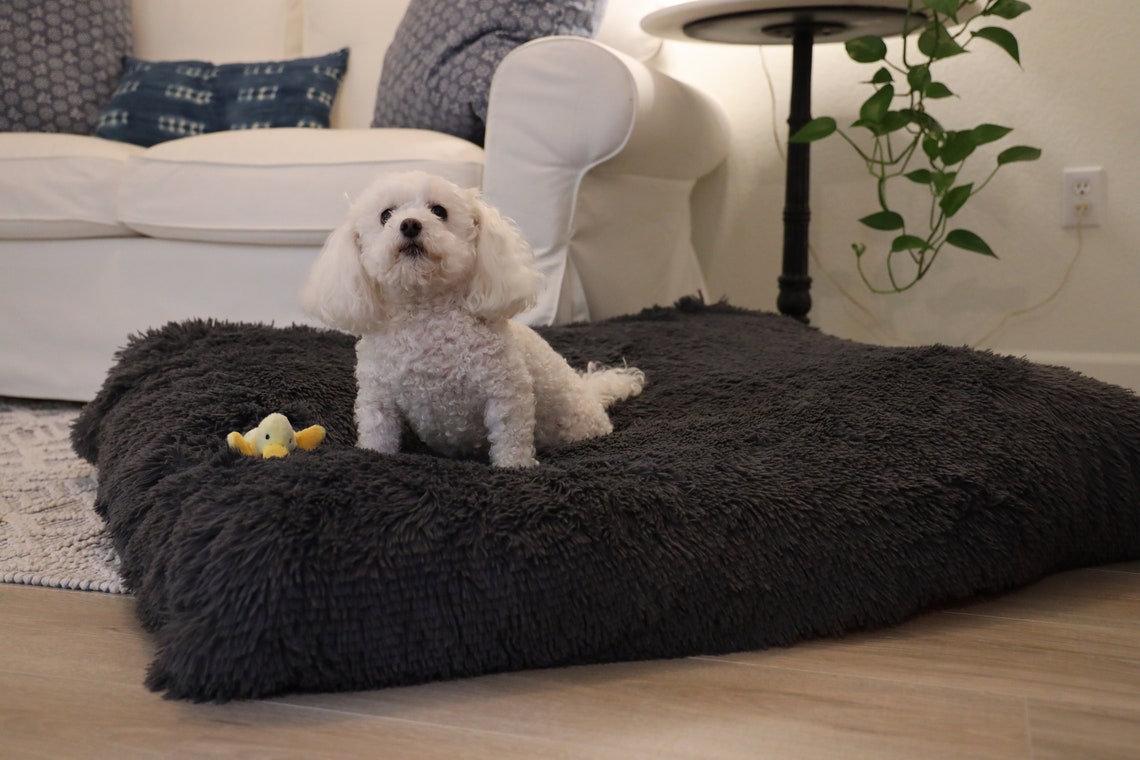 How To Wash Costco Dog Bed Cover at Jennifer Garrett blog