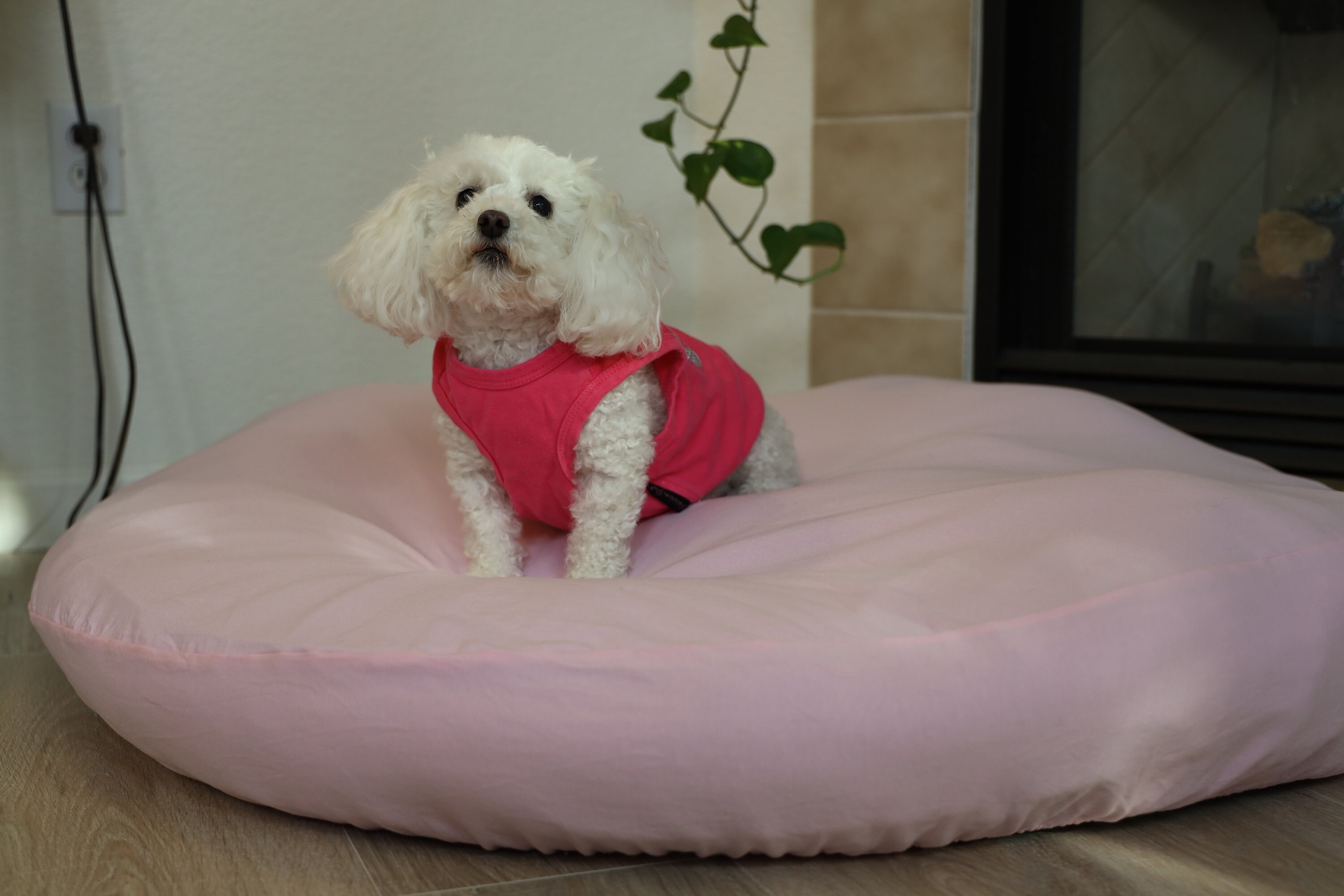 Large Dog Bed Cover Fitted Sheets for Your Round Costco Pet Etsy UK