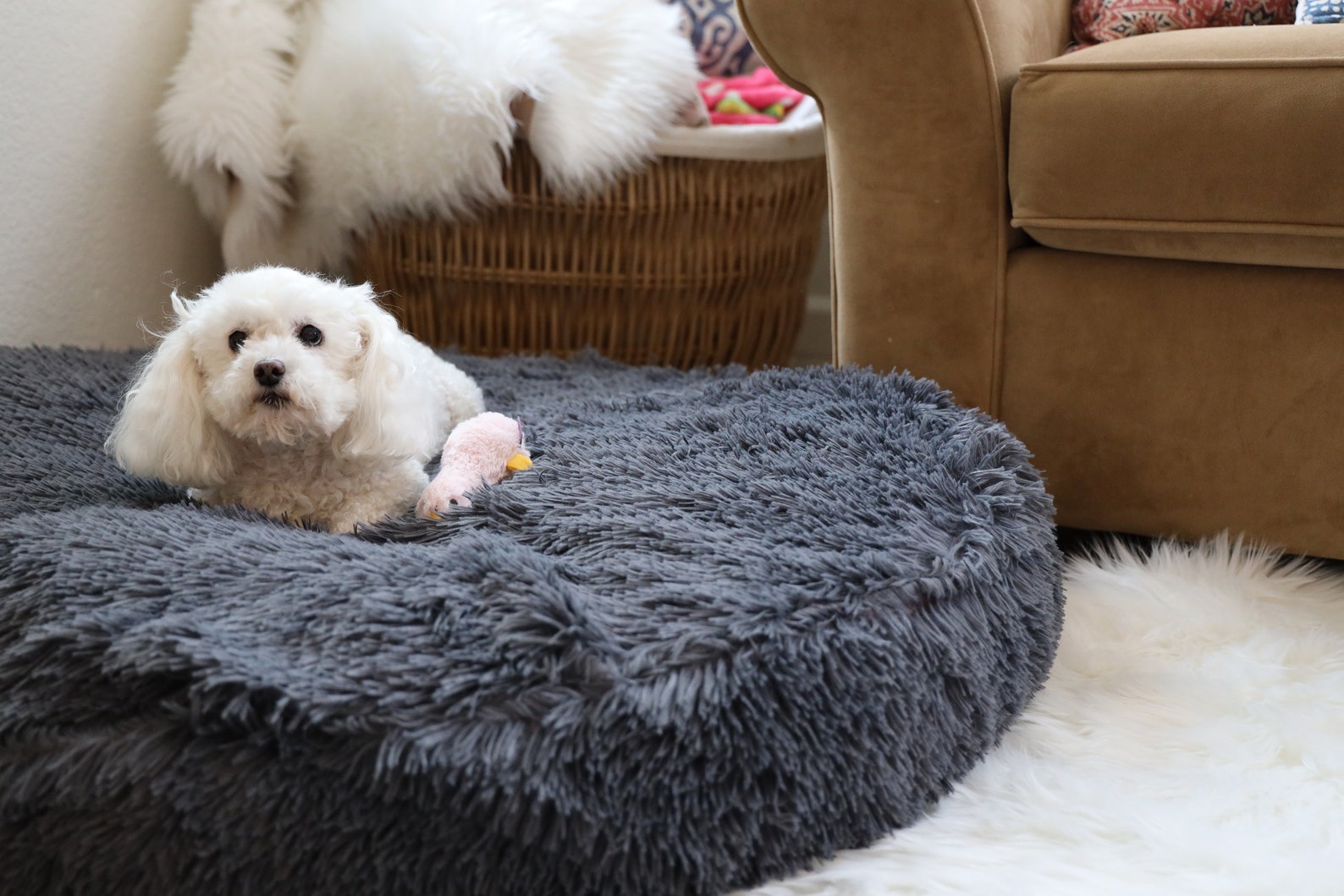 Large Dog Bed Cover Fitted Sheets for Your Round Costco Pet Etsy