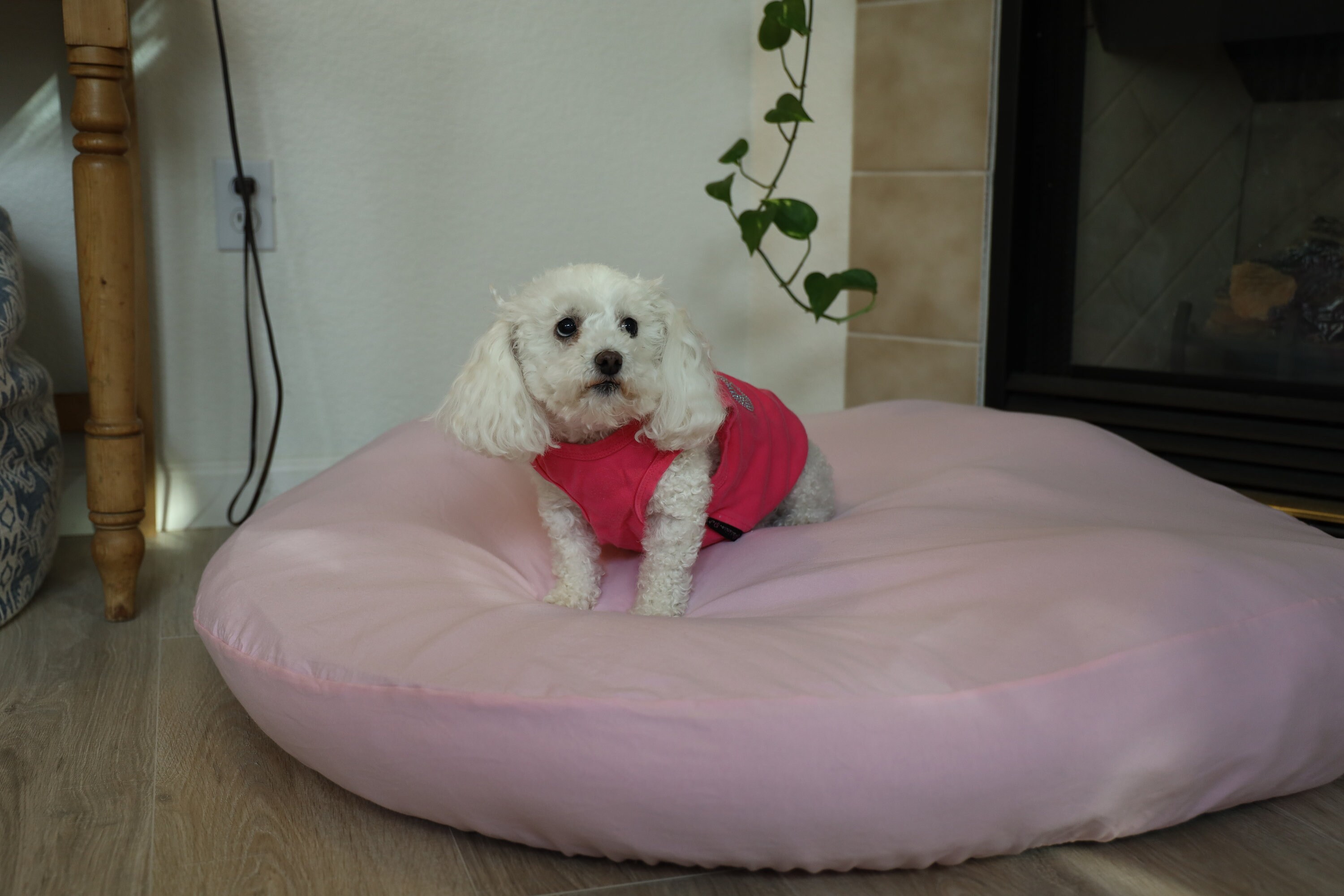 Large Dog Bed Cover Fitted Sheets for Your Round Costco Pet Etsy UK