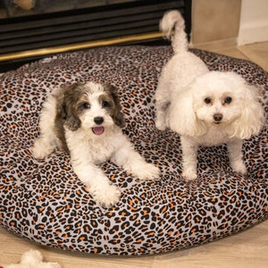 May include: Two small dogs, one white and one brown and white, are lying on a leopard print dog bed.