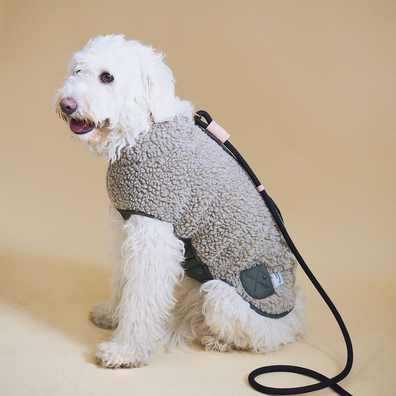 dogs woolen clothes