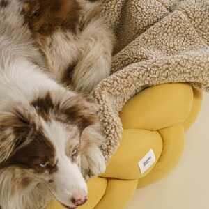 HuntingPony Sleepy-Pony dog blanket Hunting Pony beige blanket for dogs Сotton fur blanket for dogs image 2