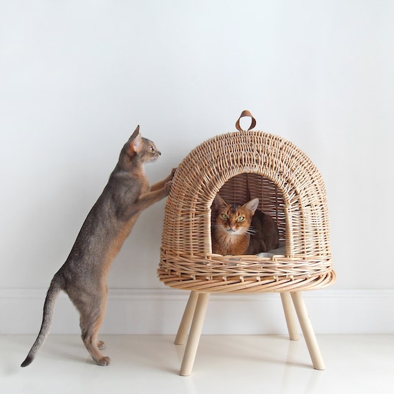 wicker pet bed