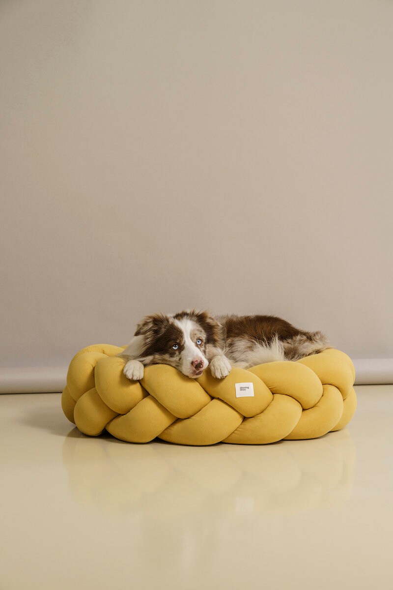 Hunting Pony Kolosony Dog Bed Yellow Pet Beds Modern Dog Bed Etsy