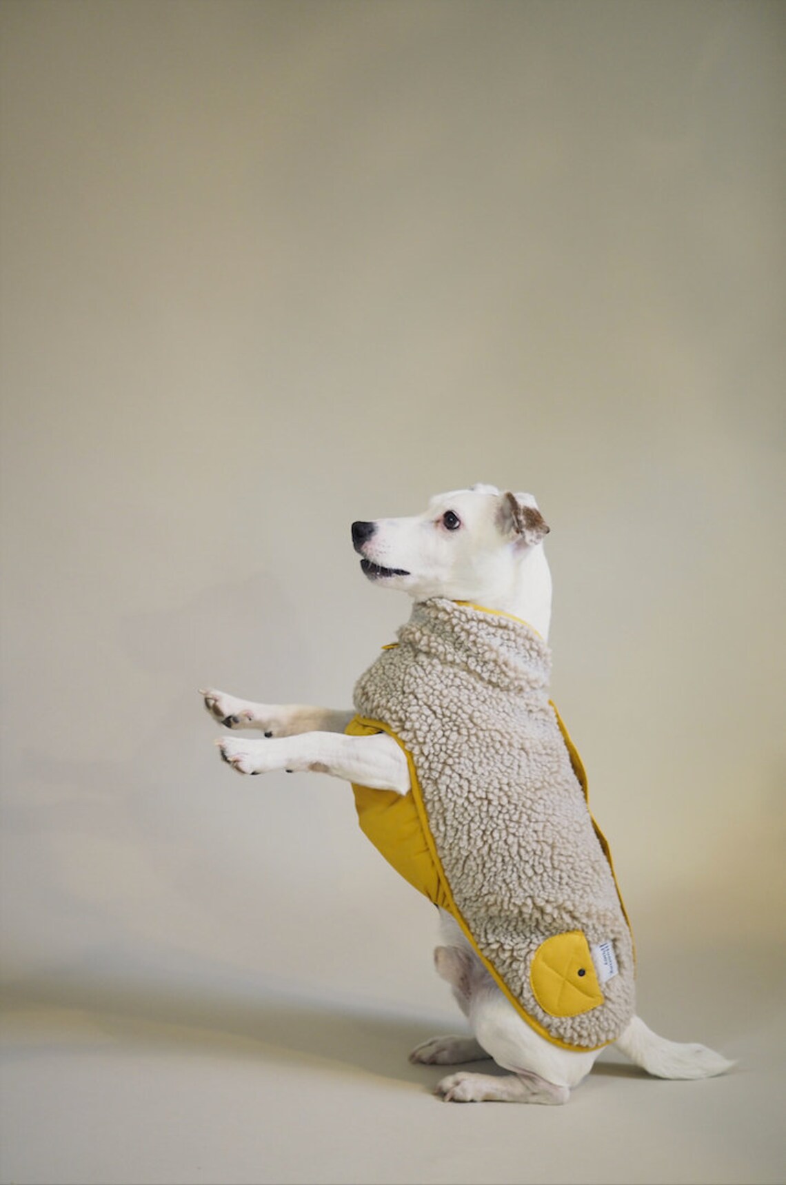 Dog Vest Yellow Dog Coat Clothes for dogs Woolen coat Etsy