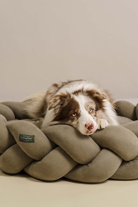 Modern dog beds for large dogs sales